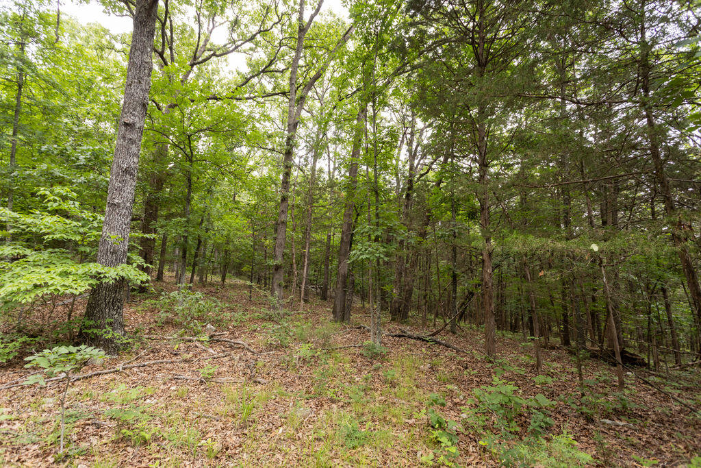 000 County Road Dd 447 Property Photo 53