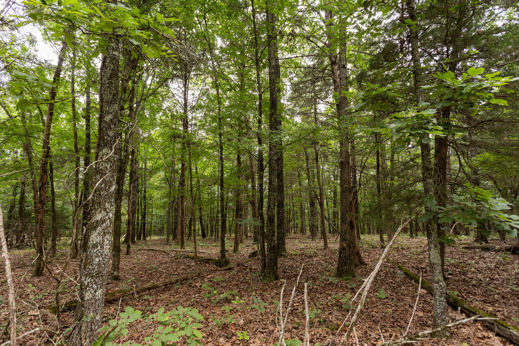 000 County Road Dd 447 Property Photo 54