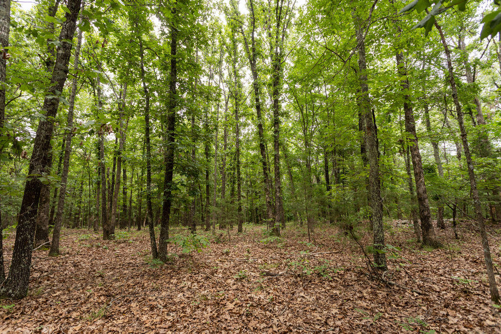 000 County Road Dd 447 Property Photo 55