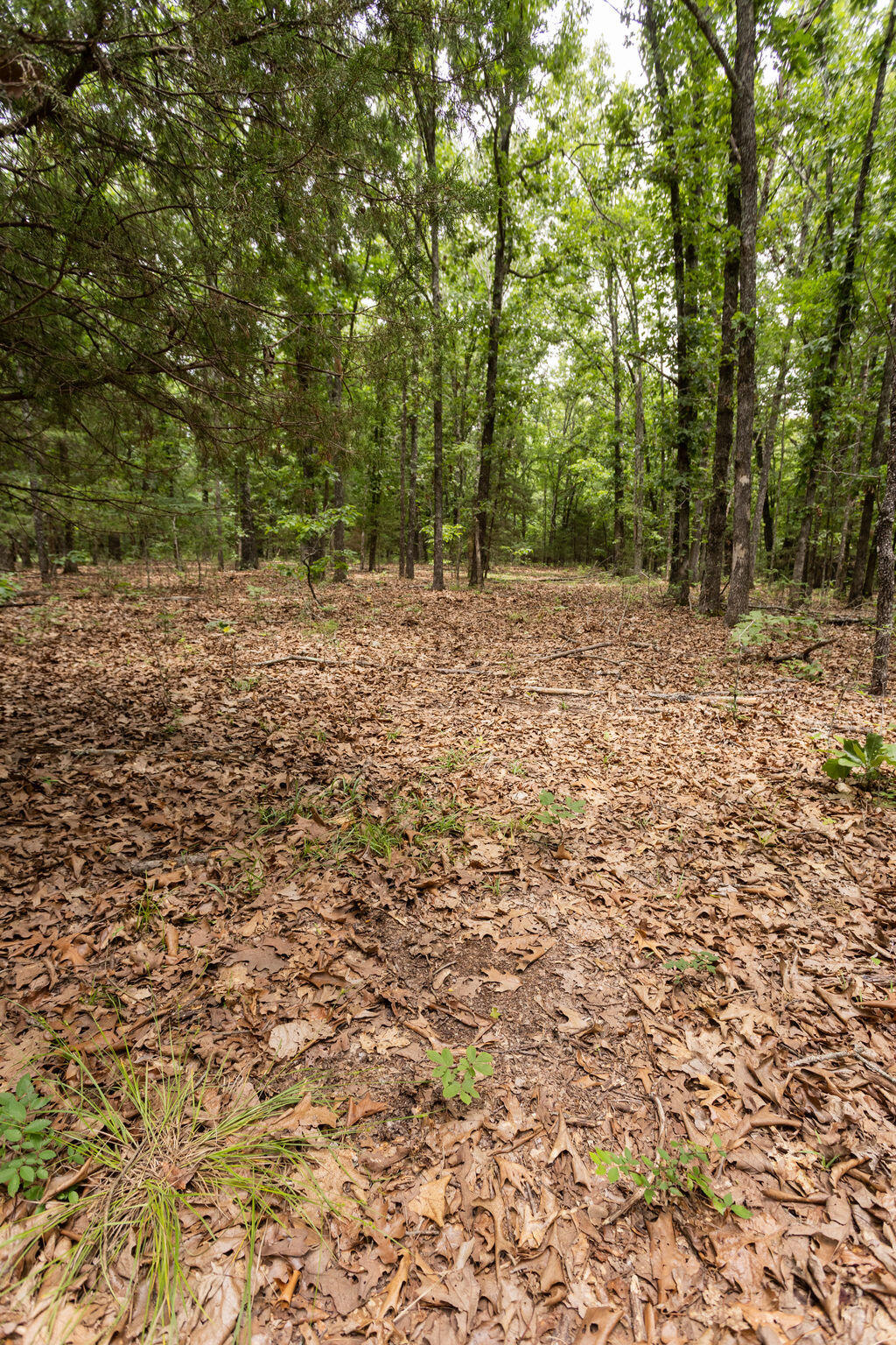 000 County Road Dd 447 Property Photo 56