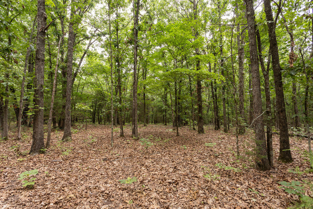 000 County Road Dd 447 Property Photo 57