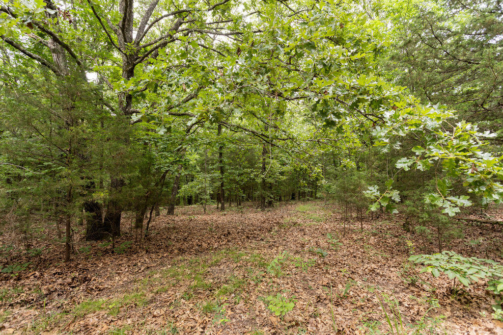 000 County Road Dd 447 Property Photo 58
