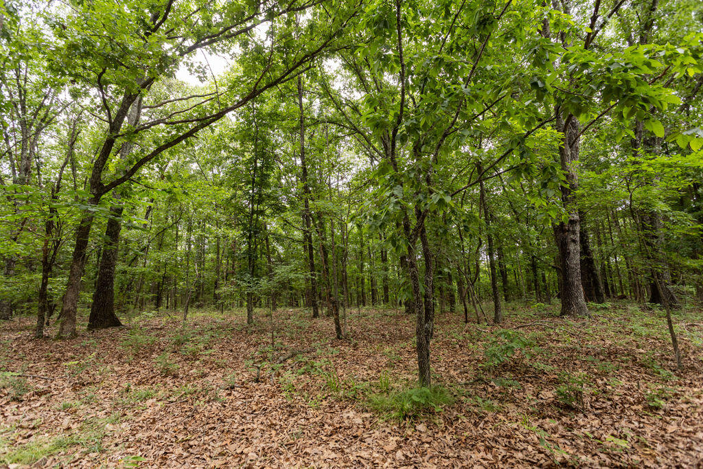 000 County Road Dd 447 Property Photo 59