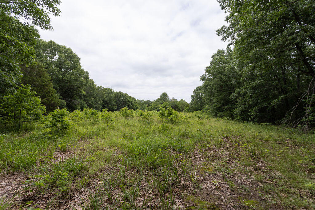 000 County Road Dd 447 Property Photo 60