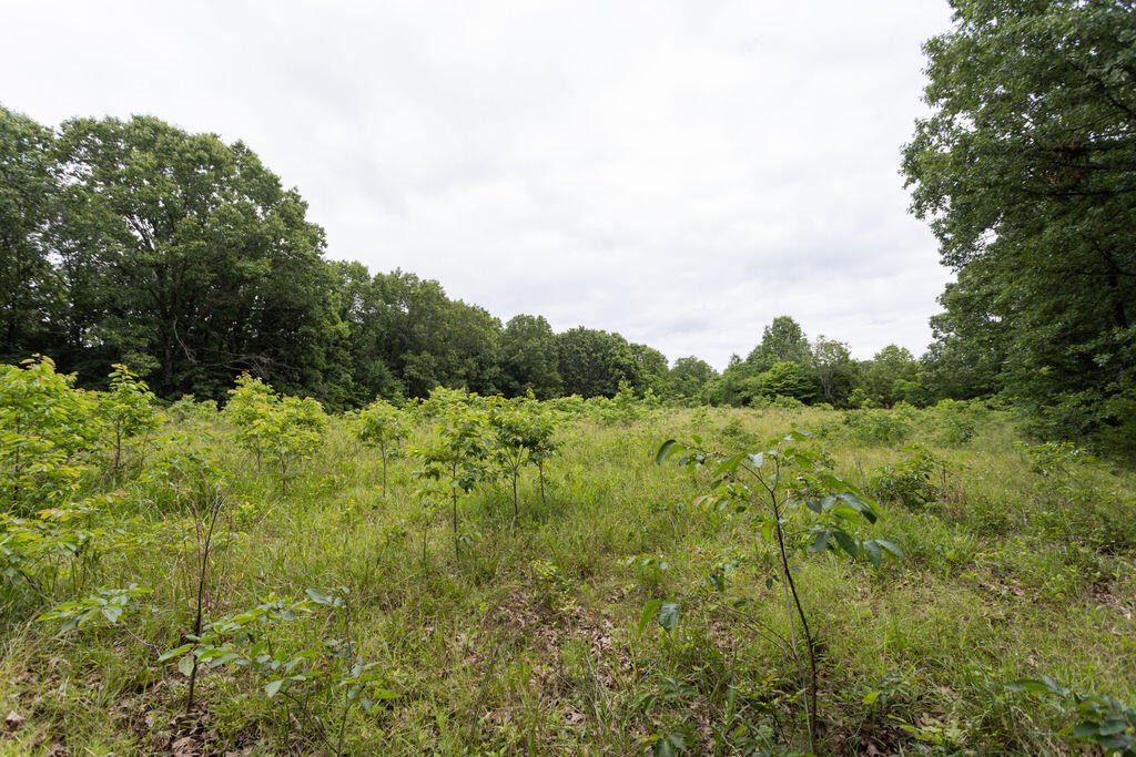 000 County Road Dd 447 Property Photo 61