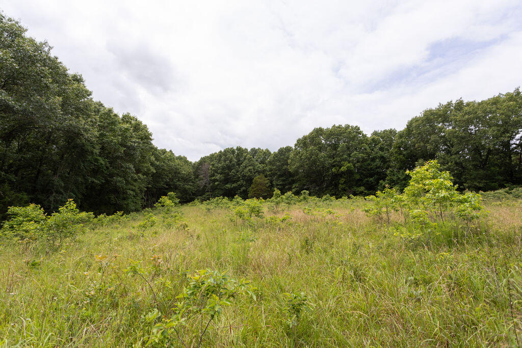 000 County Road Dd 447 Property Photo 63