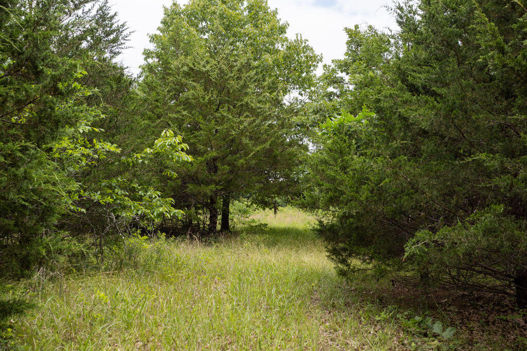 000 County Road Dd 447 Property Photo 64