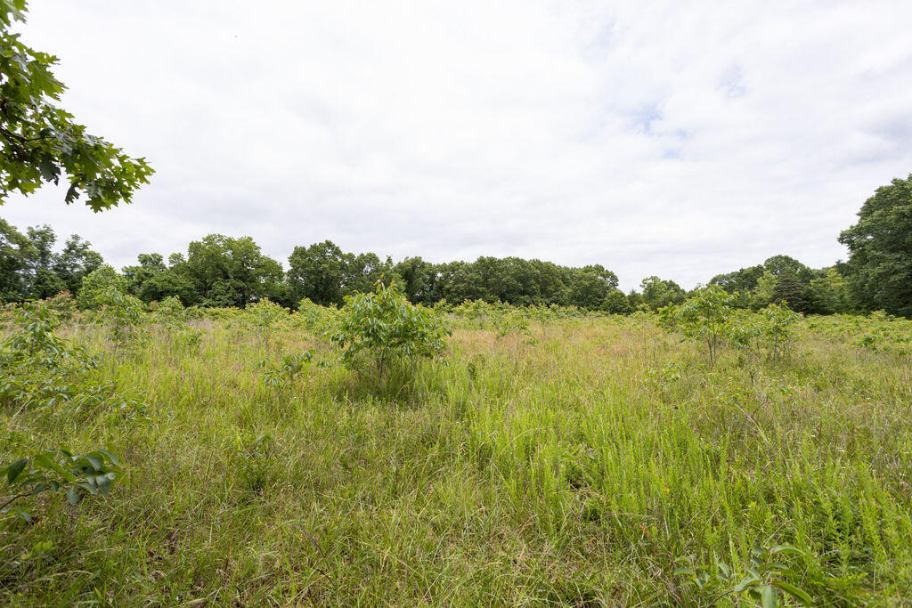 000 County Road Dd 447 Property Photo 65