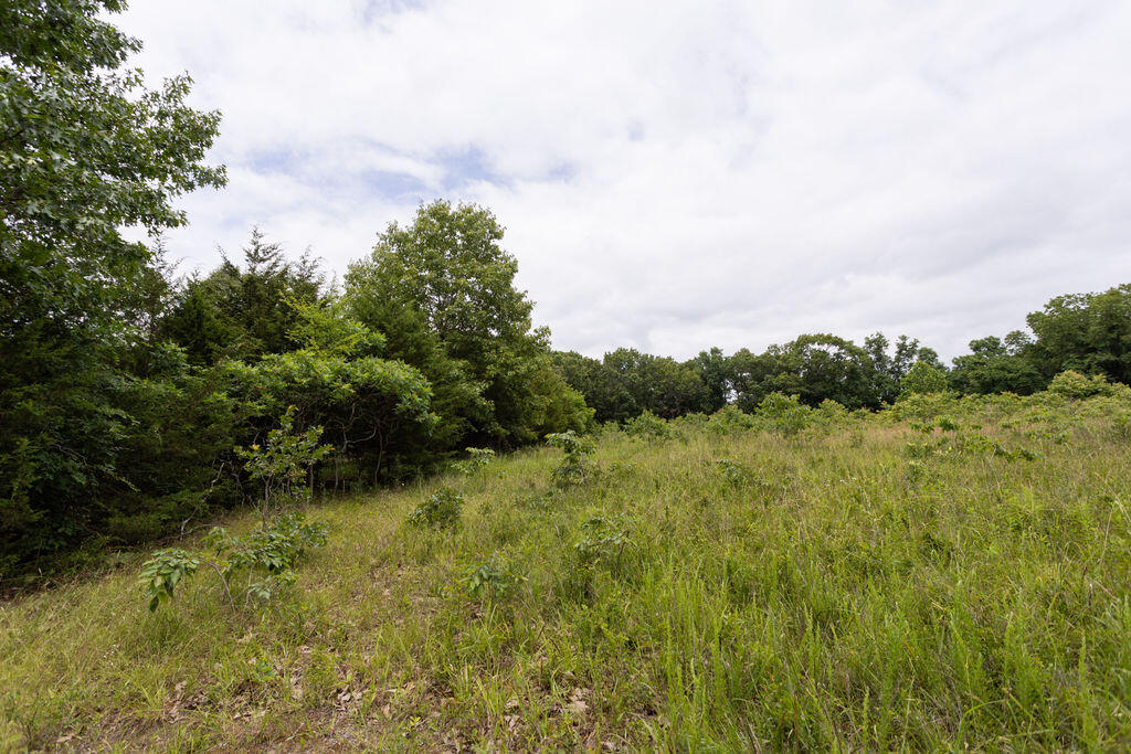 000 County Road Dd 447 Property Photo 66