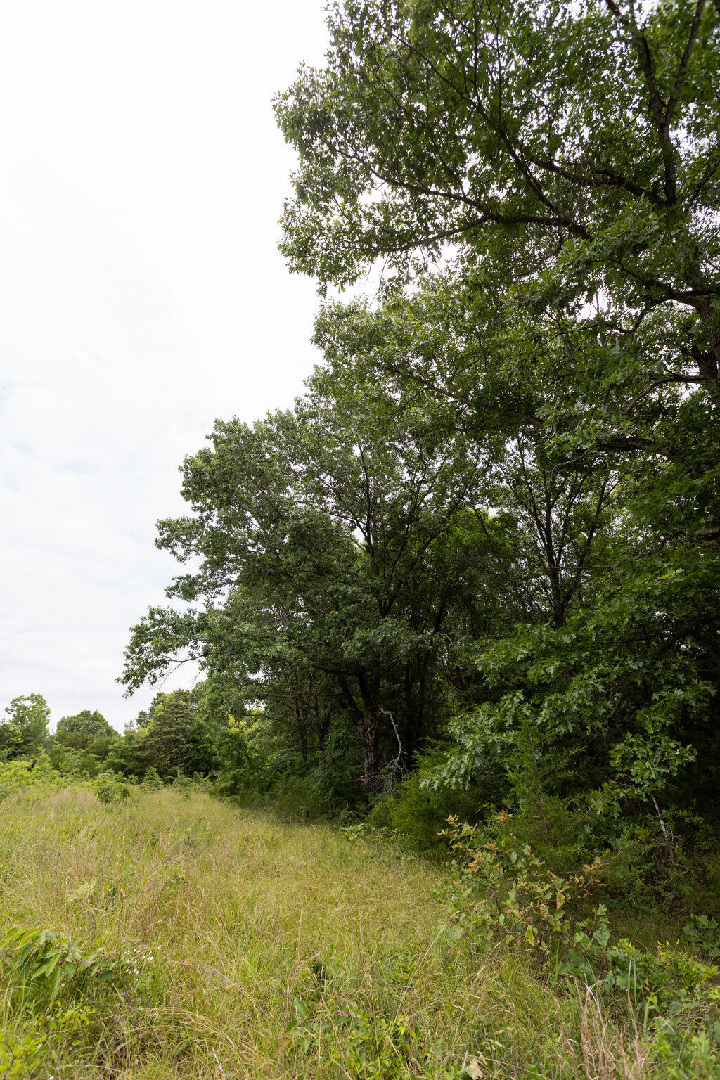 000 County Road Dd 447 Property Photo 67