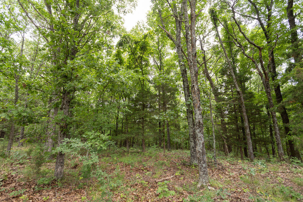 000 County Road Dd 447 Property Photo 68