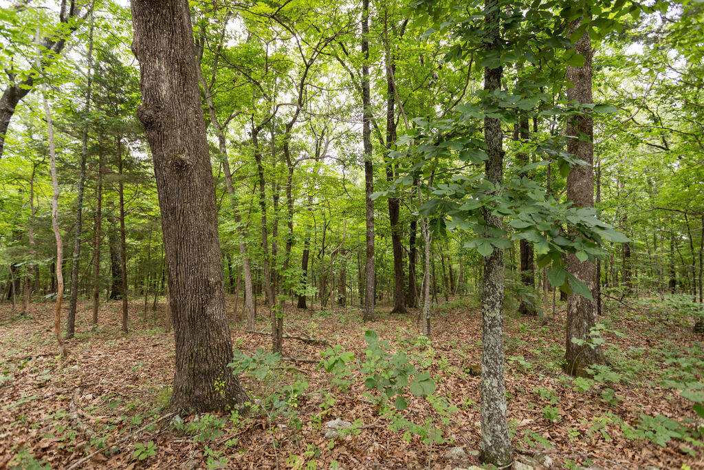 000 County Road Dd 447 Property Photo 69