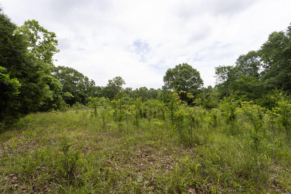 000 County Road Dd 447 Property Photo 74