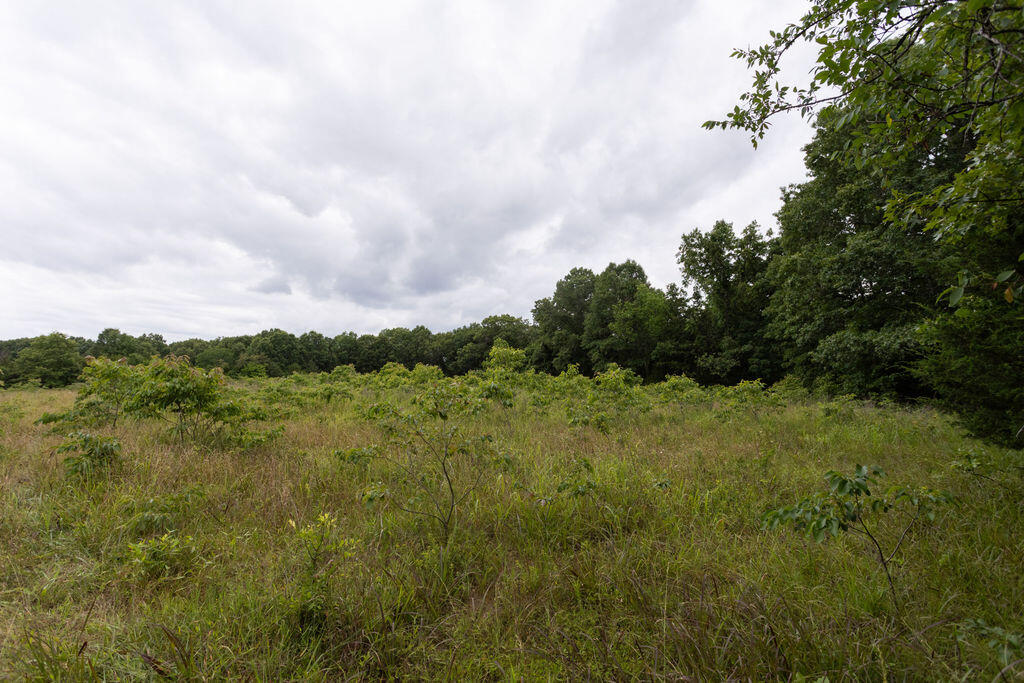 000 County Road Dd 447 Property Photo 75