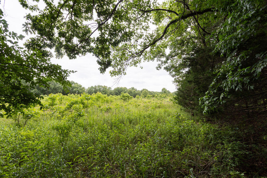 000 County Road Dd 447 Property Photo 78