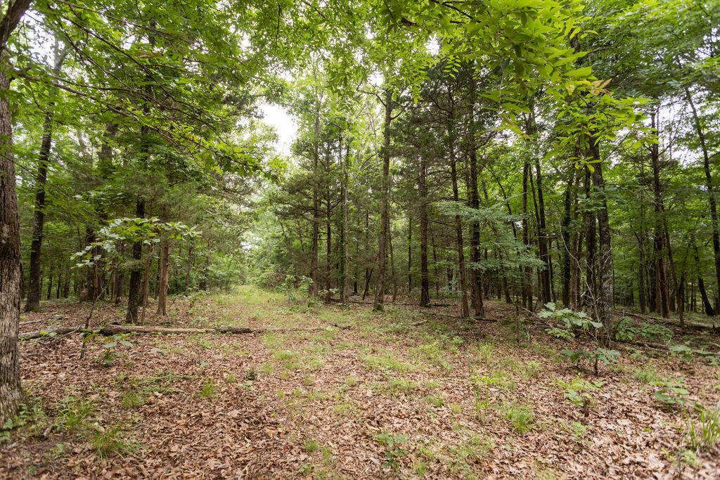 000 County Road Dd 447 Property Photo 83