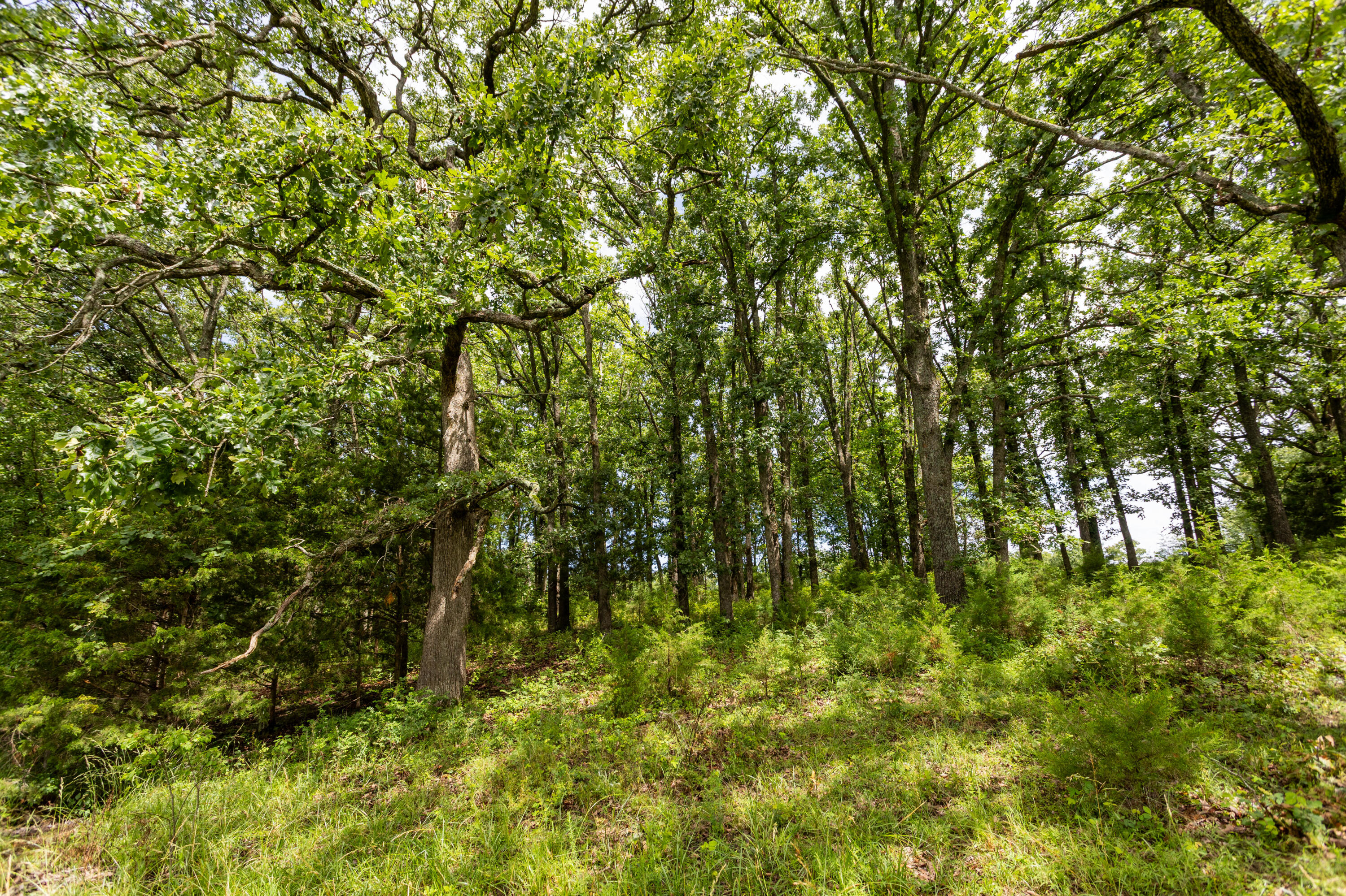 00 South 220th Road Property Photo 35