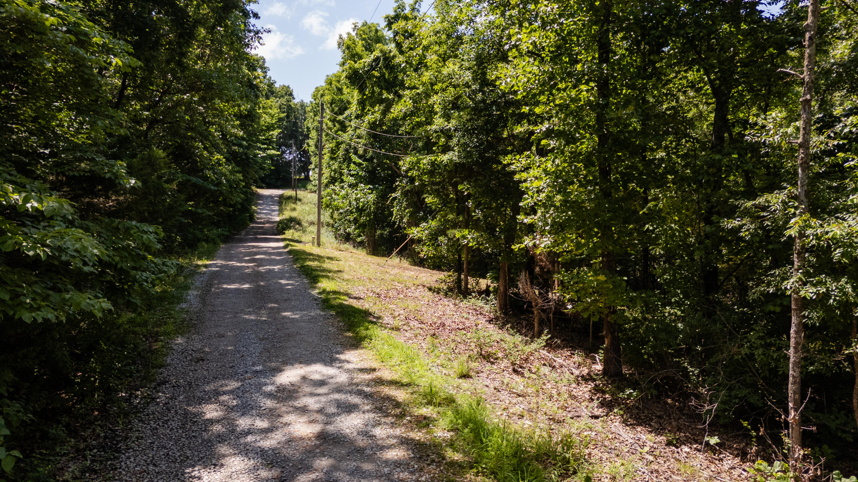 1326 Sassafras Lane Property Photo 3