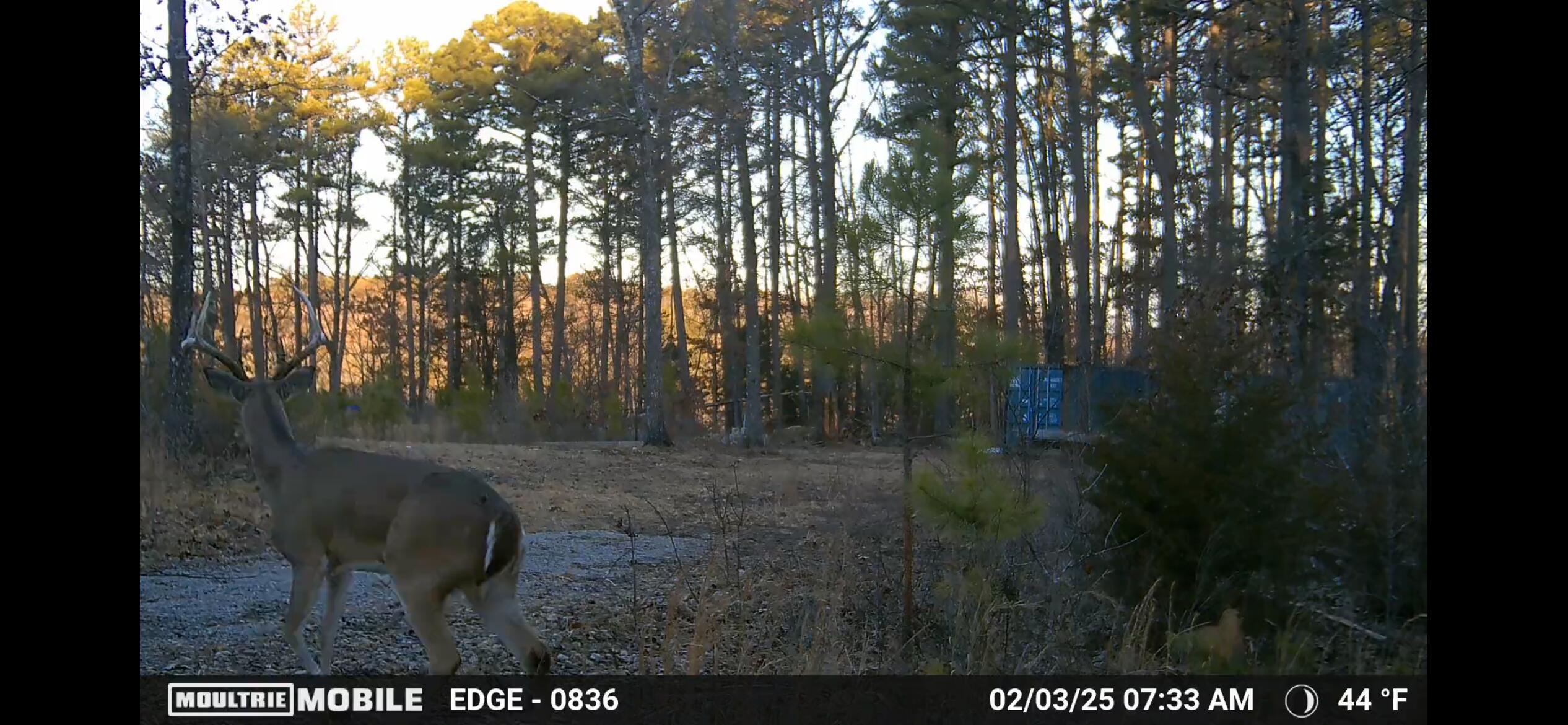 000 North State Highway 125 Property Photo 2