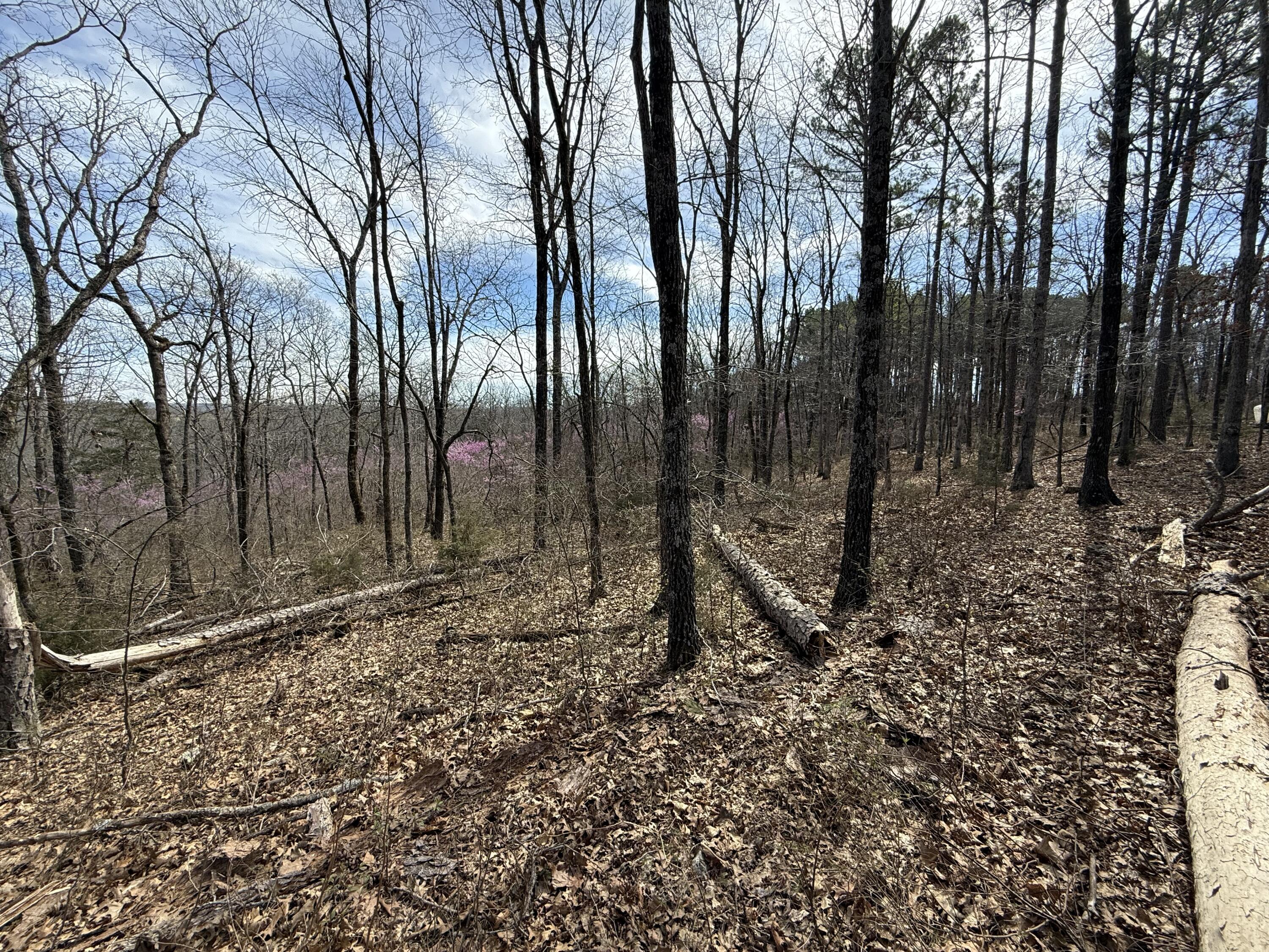 000 North State Highway 125 Property Photo 7