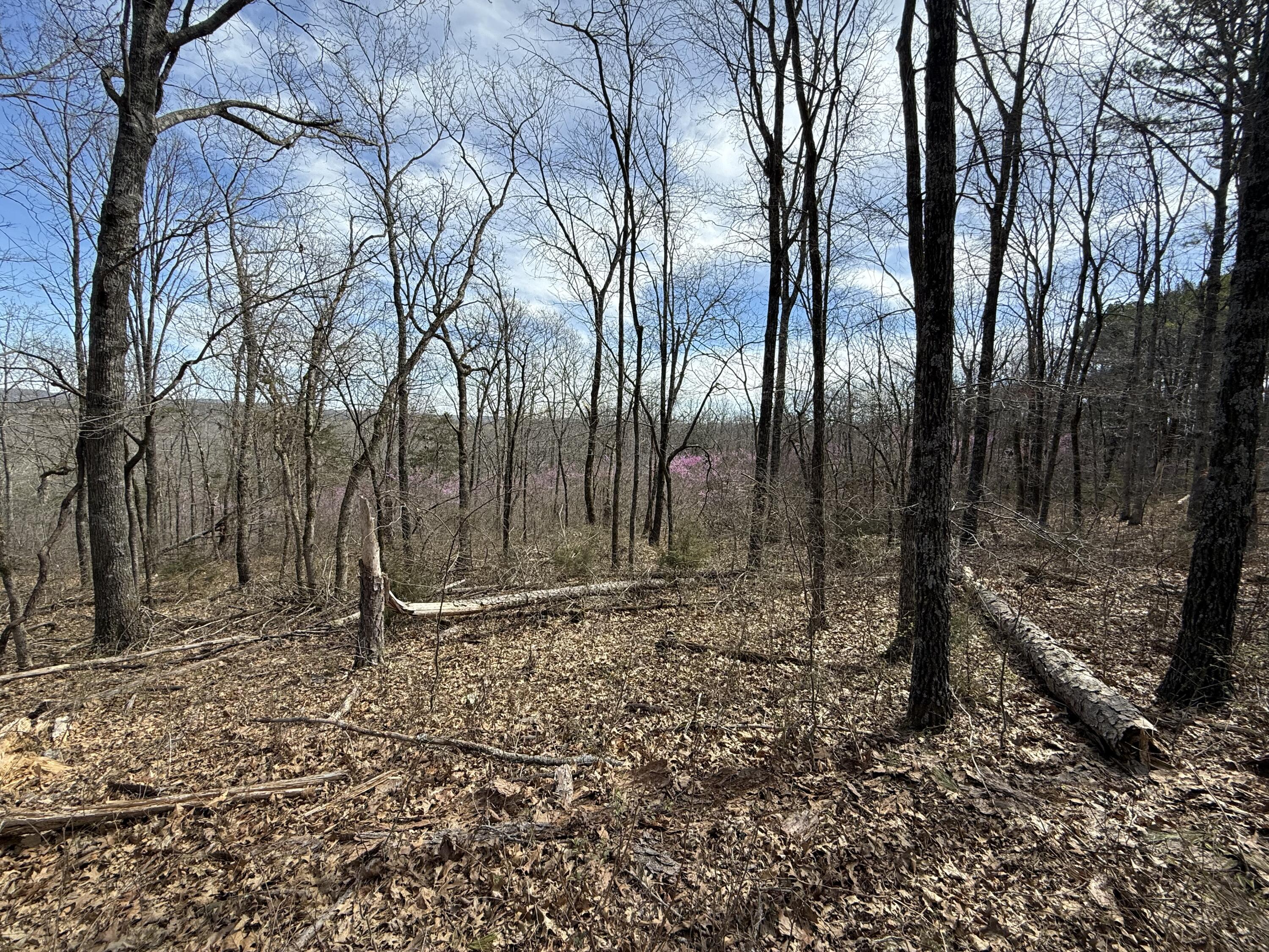 000 North State Highway 125 Property Photo 8