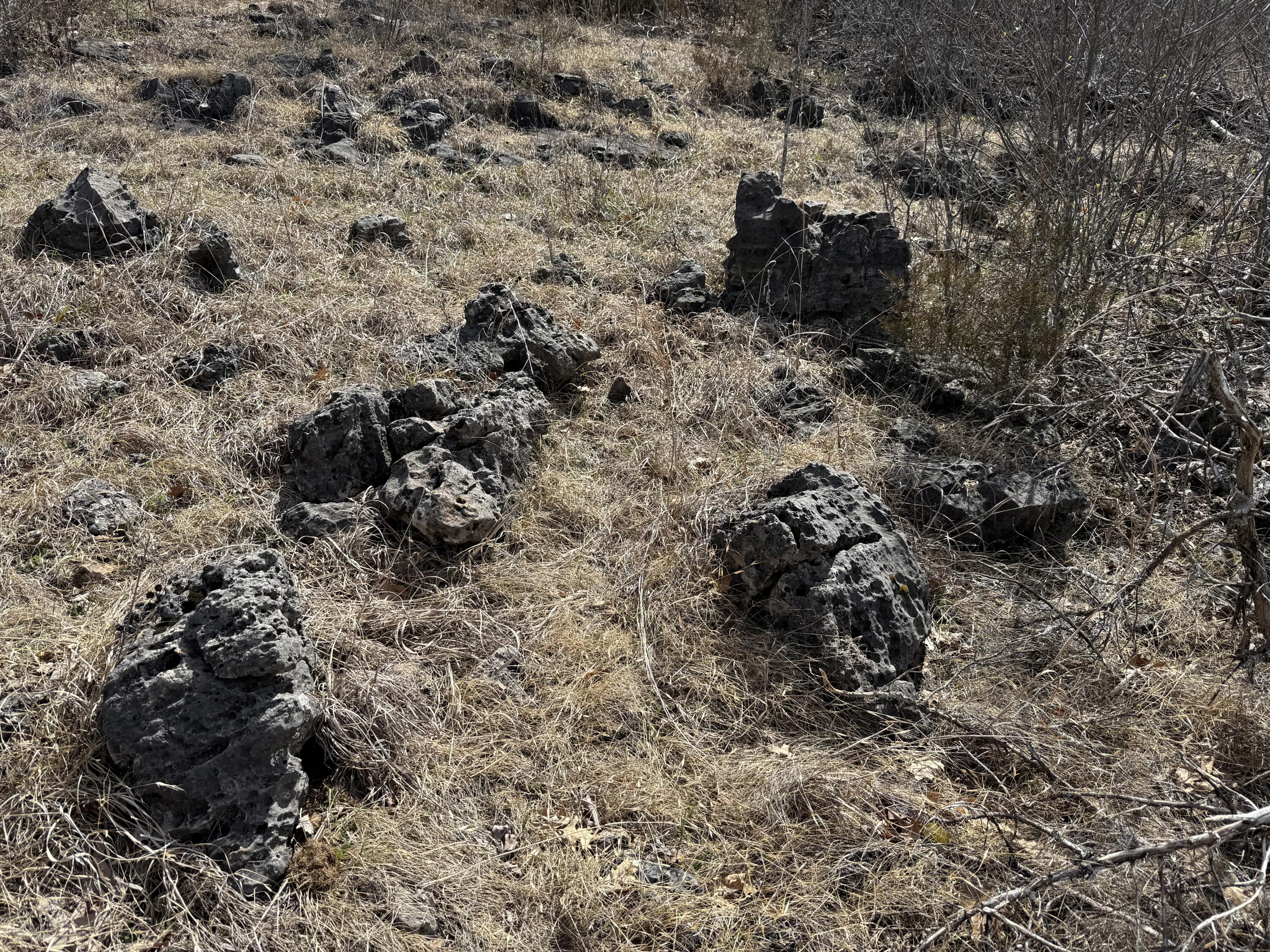 000 North State Highway 125 Property Photo 9