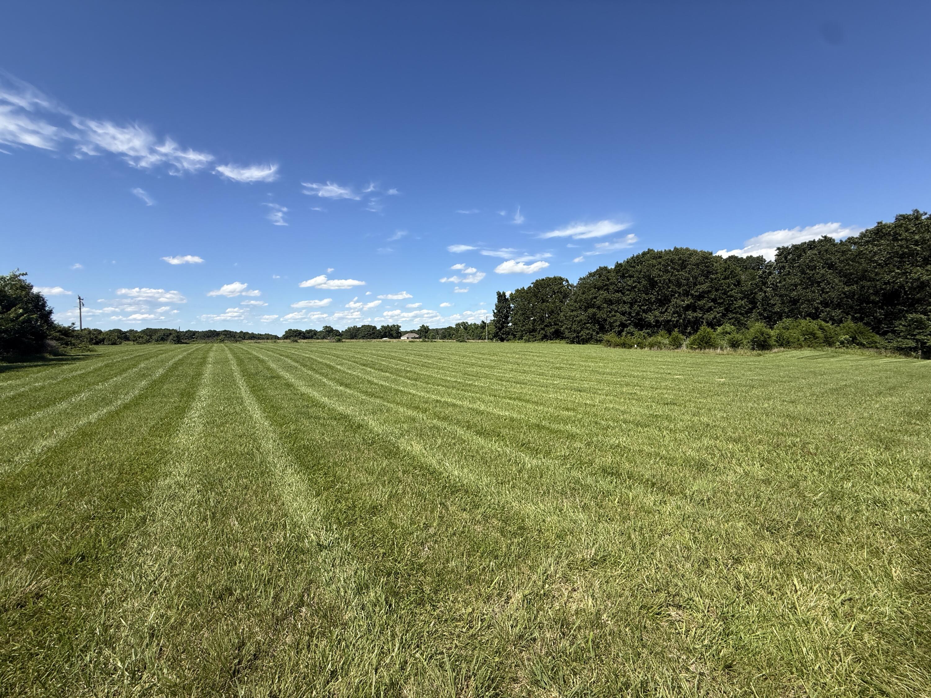 866 State Highway Dd Property Photo 13