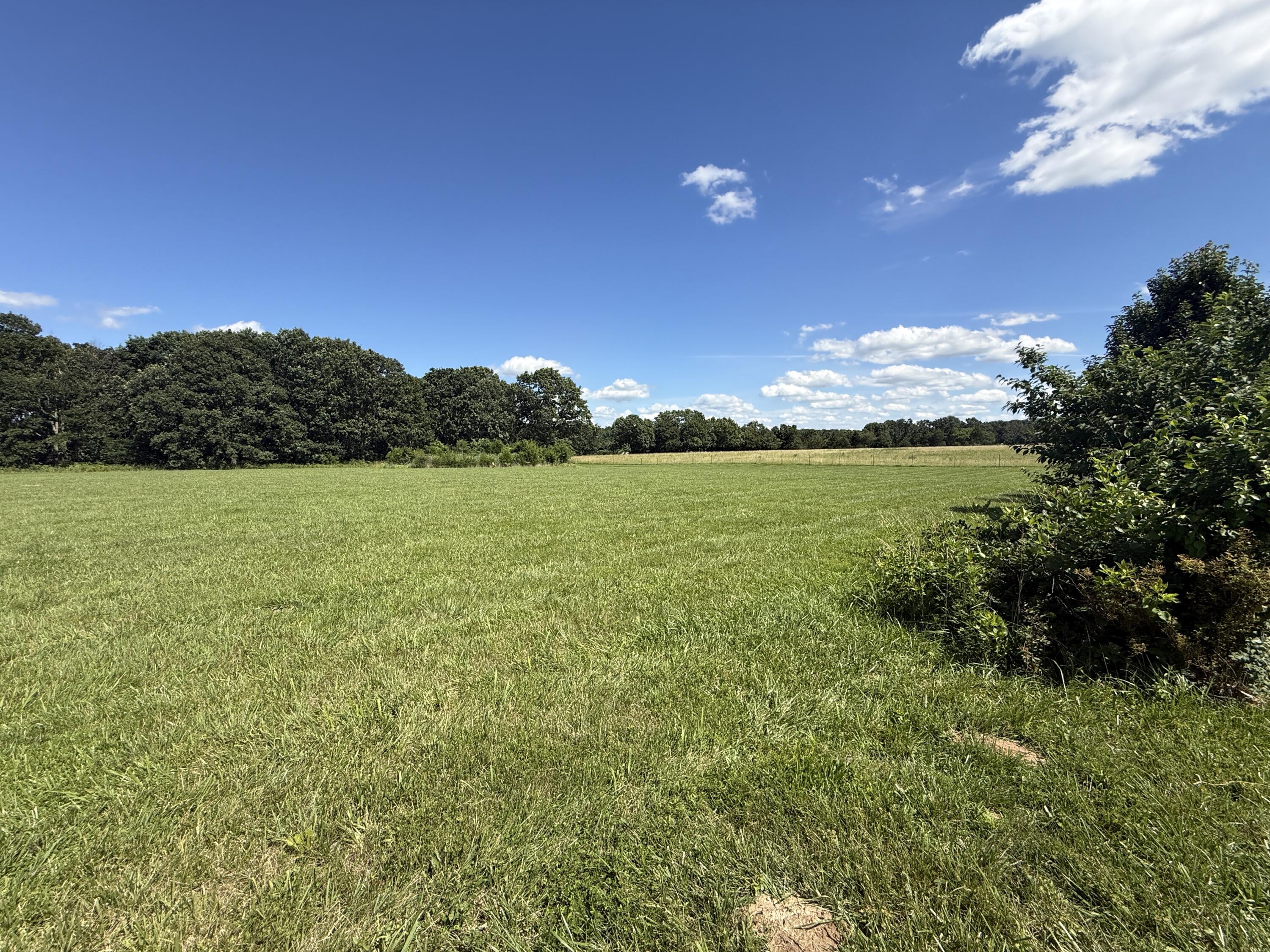 866 State Highway Dd Property Photo 14