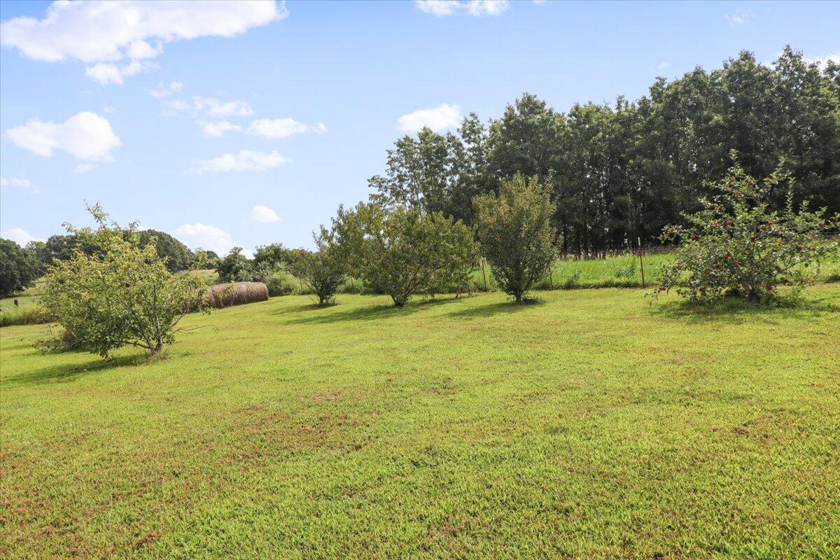 5025 M Highway Property Photo 34