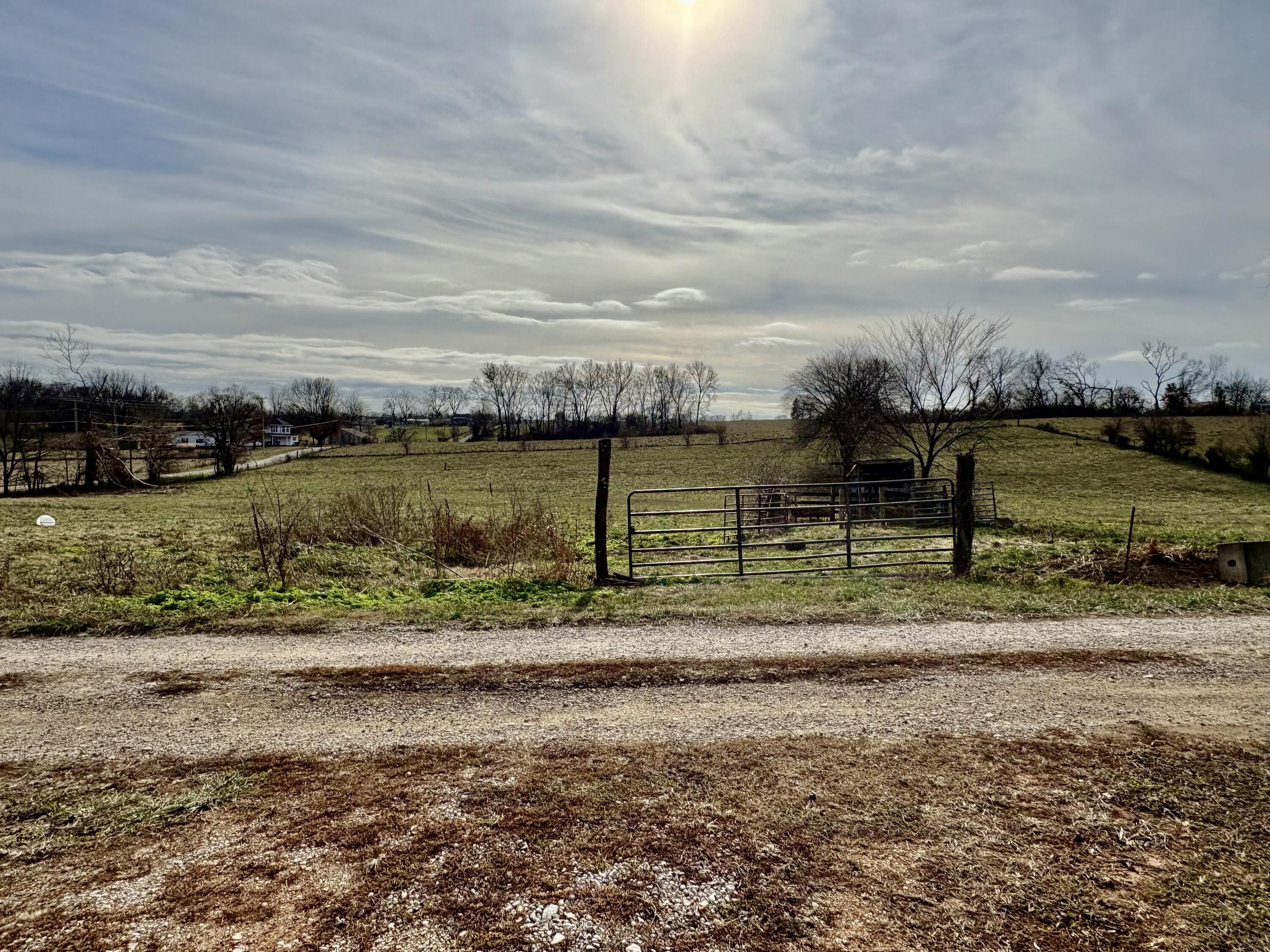203 Wynes Circle Property Photo 52