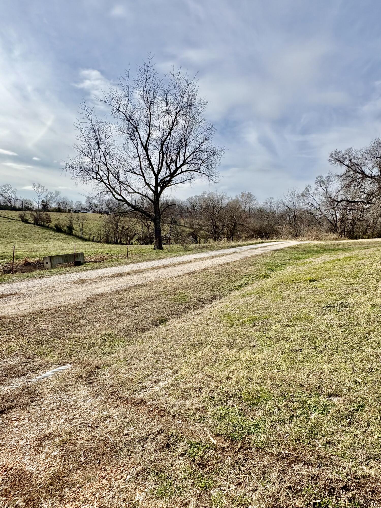 203 Wynes Circle Property Photo 53