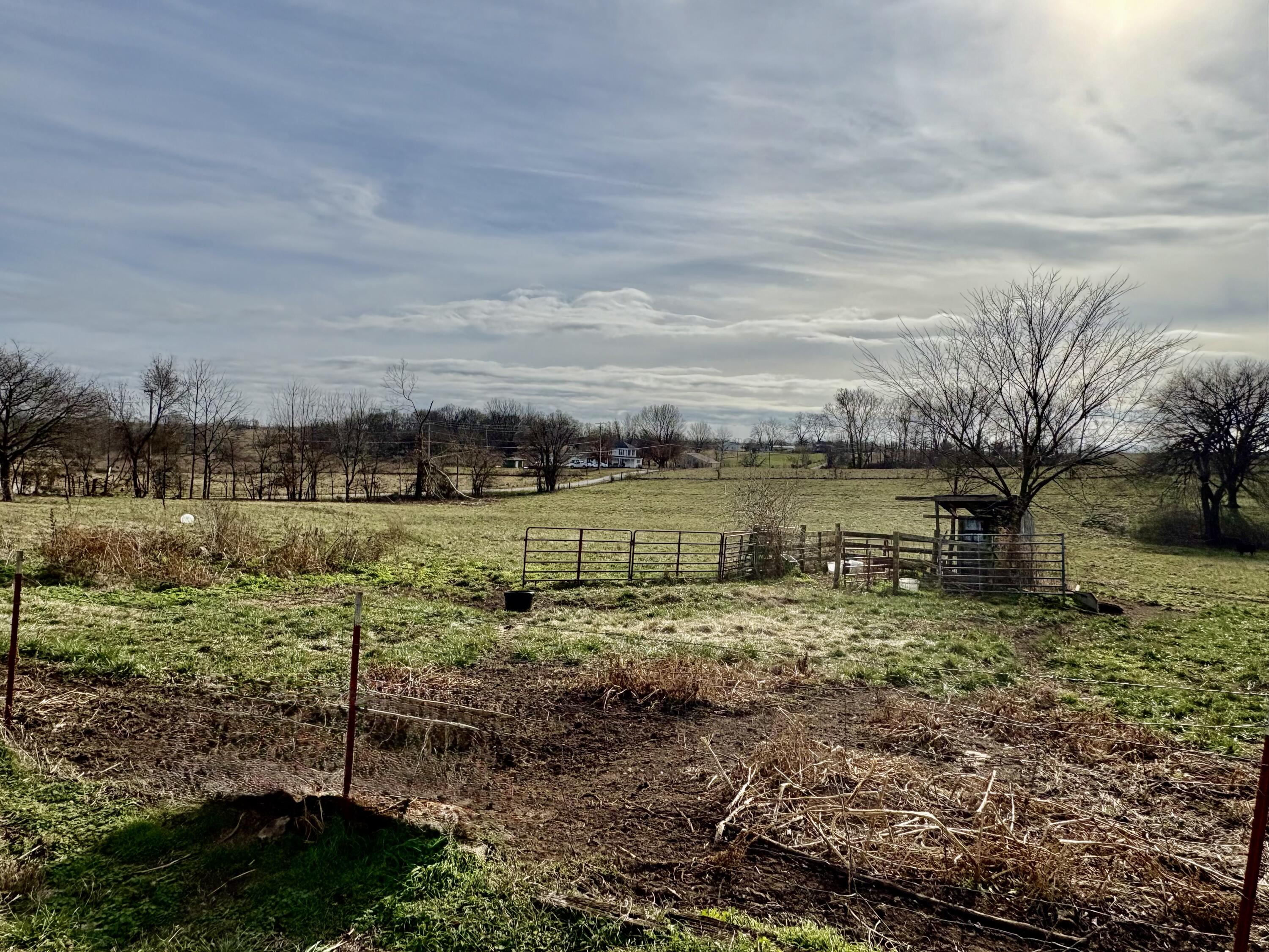 203 Wynes Circle Property Photo 56