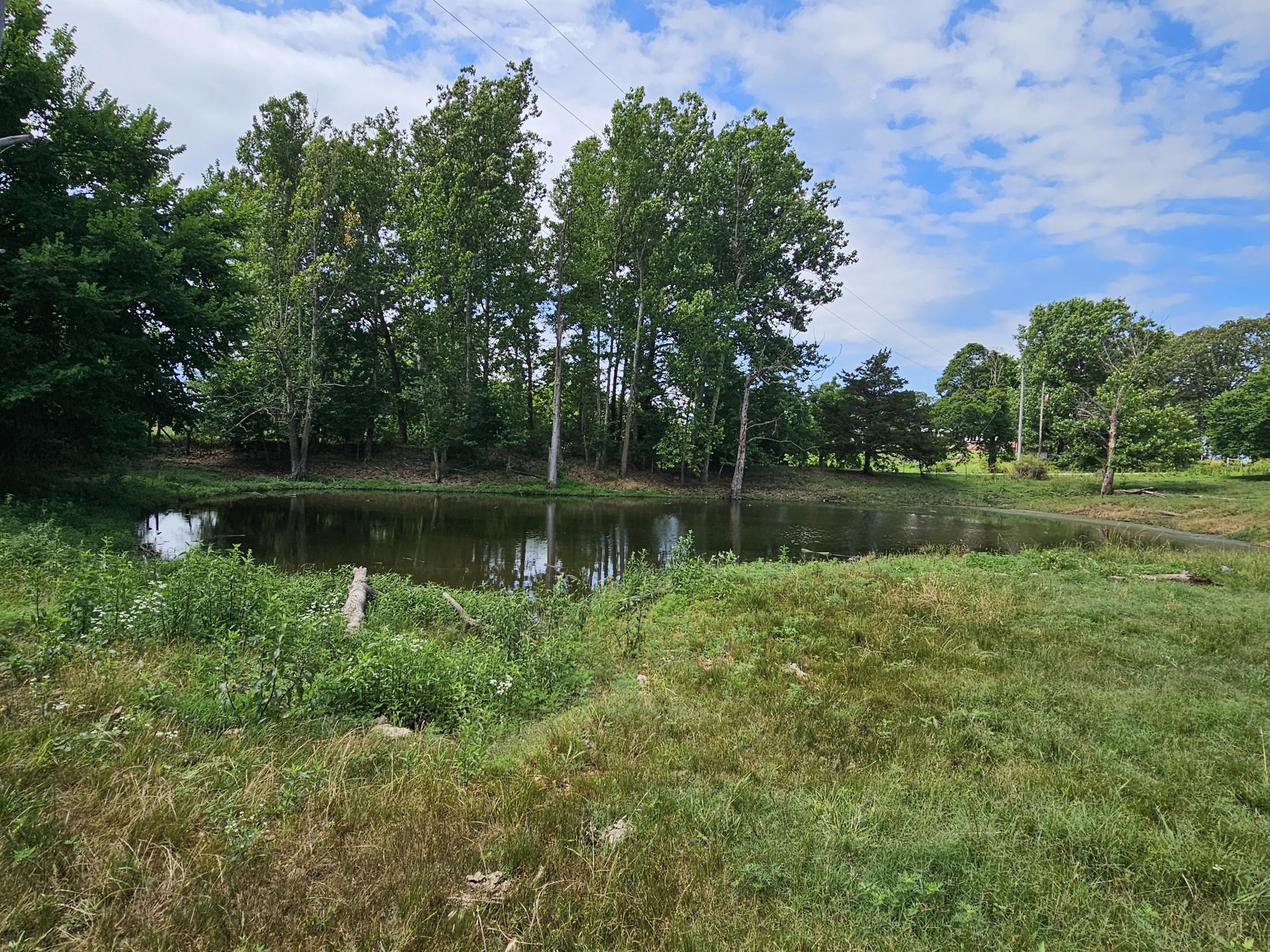 25 Acres State Highway F Property Photo 10