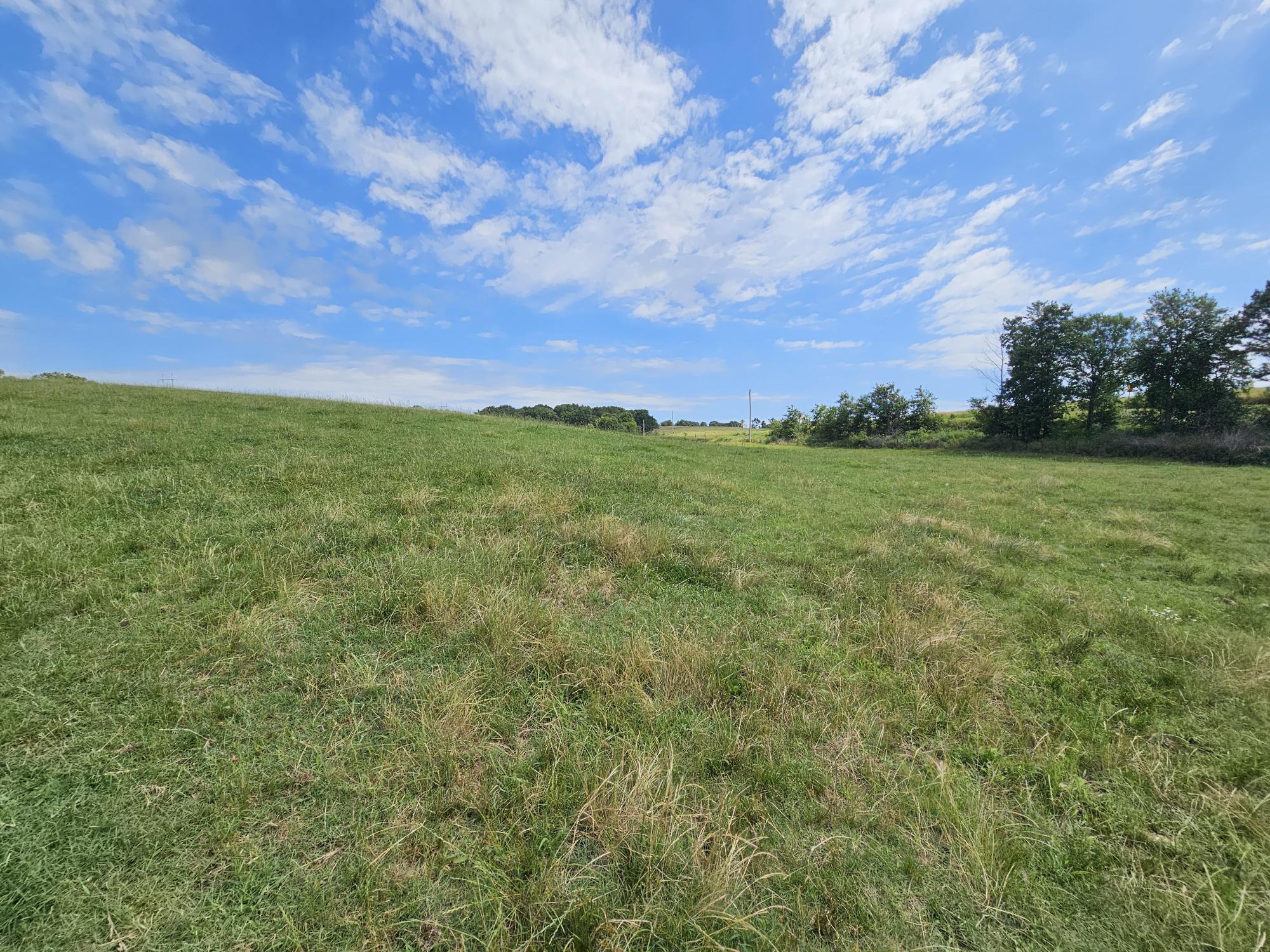 25 Acres State Highway F Property Photo 15