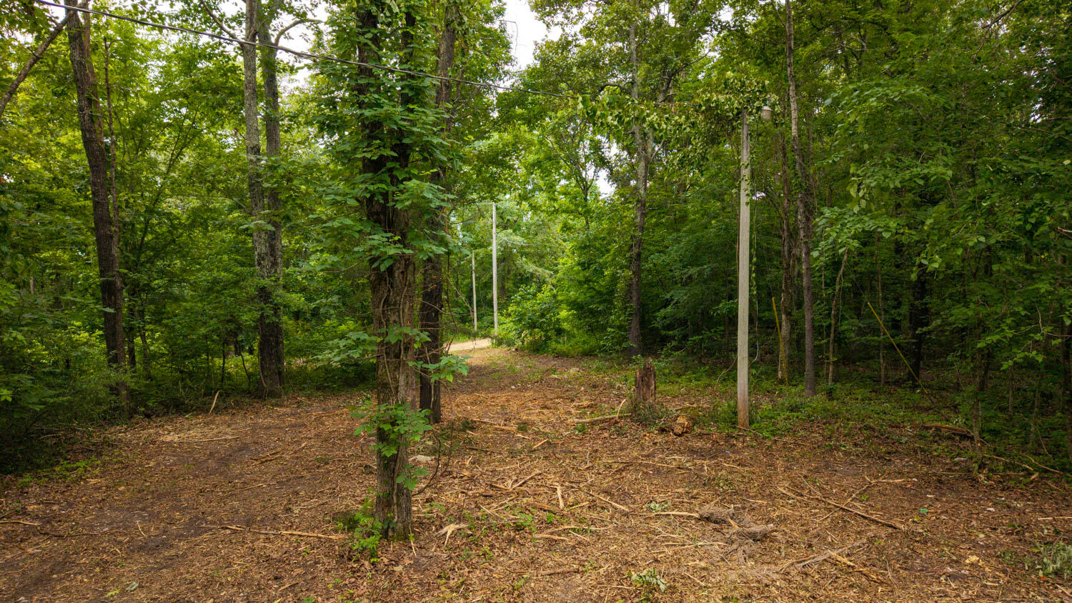 Tbd Rainbow Valley Trail Property Photo 11