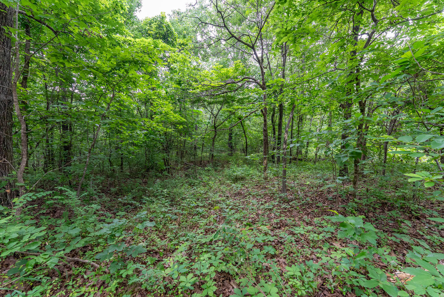 Tbd Rainbow Valley Trail Property Photo 12