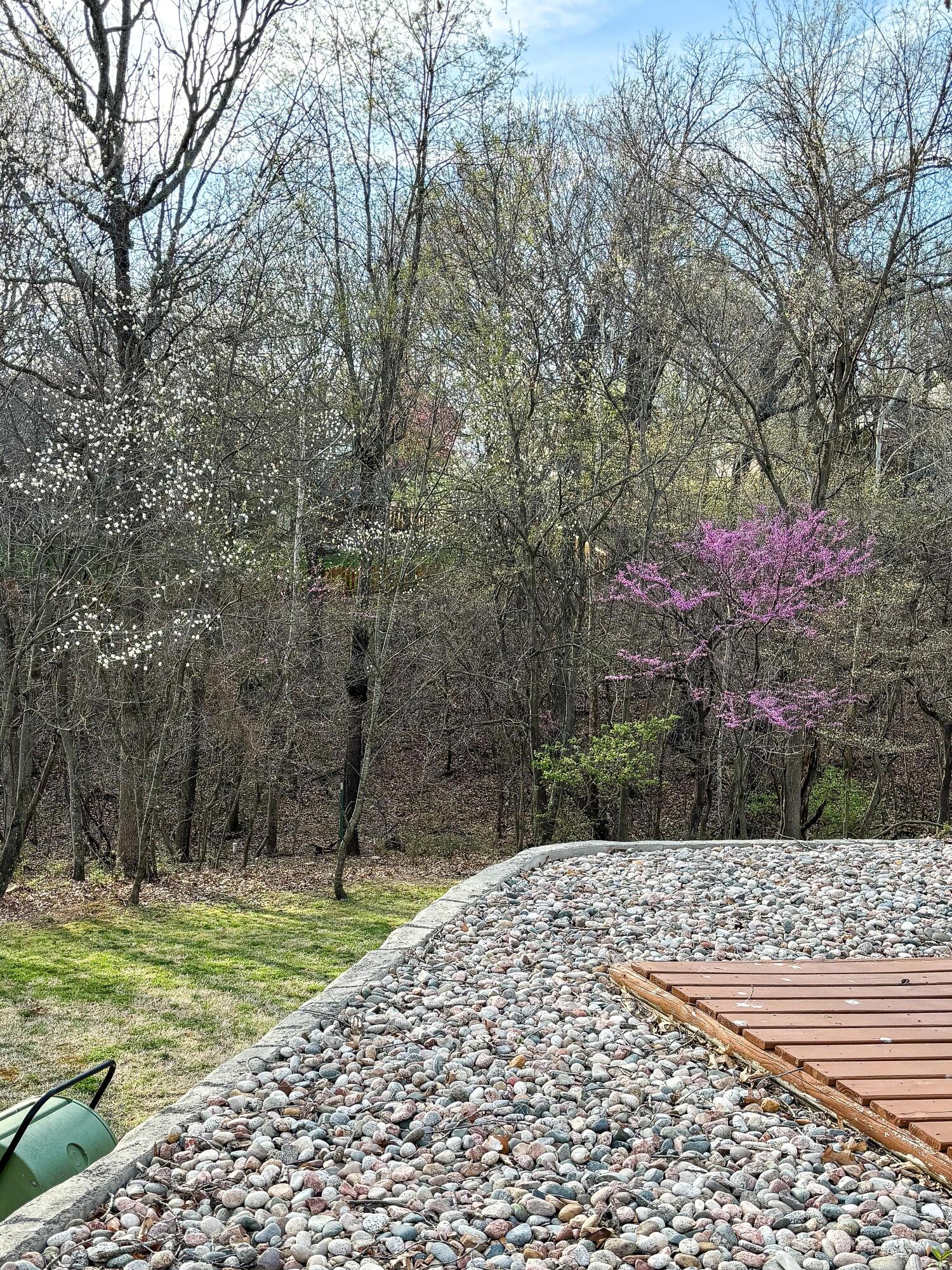 3 Ridgewood Court Property Photo 72