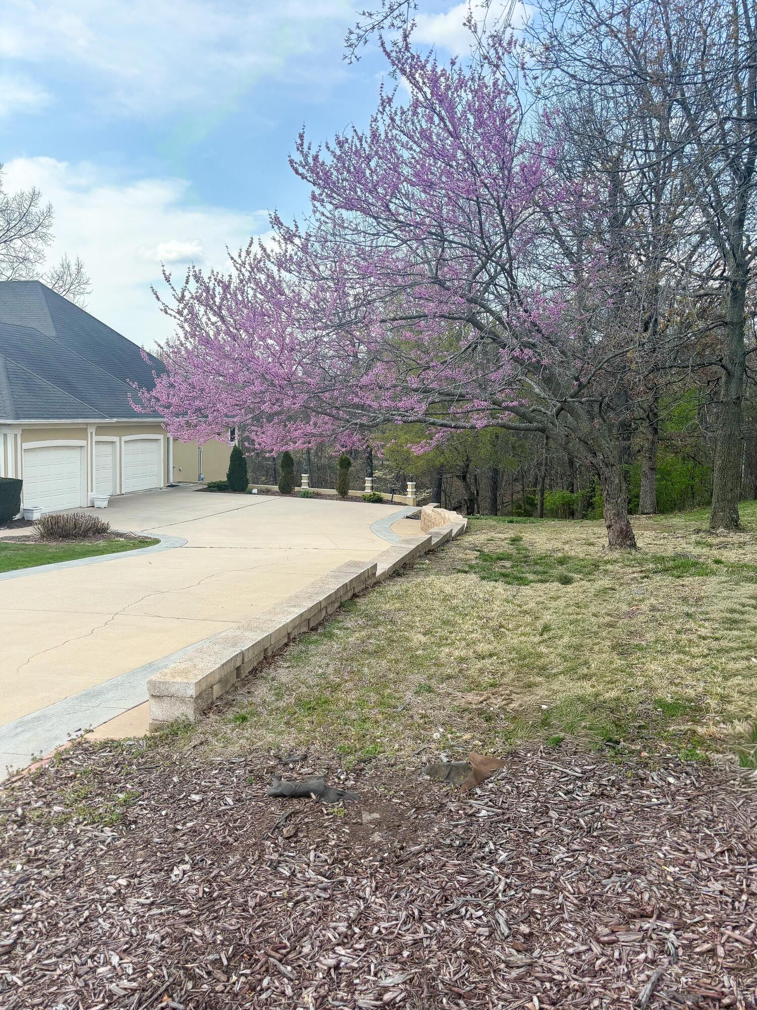 3 Ridgewood Court Property Photo 73