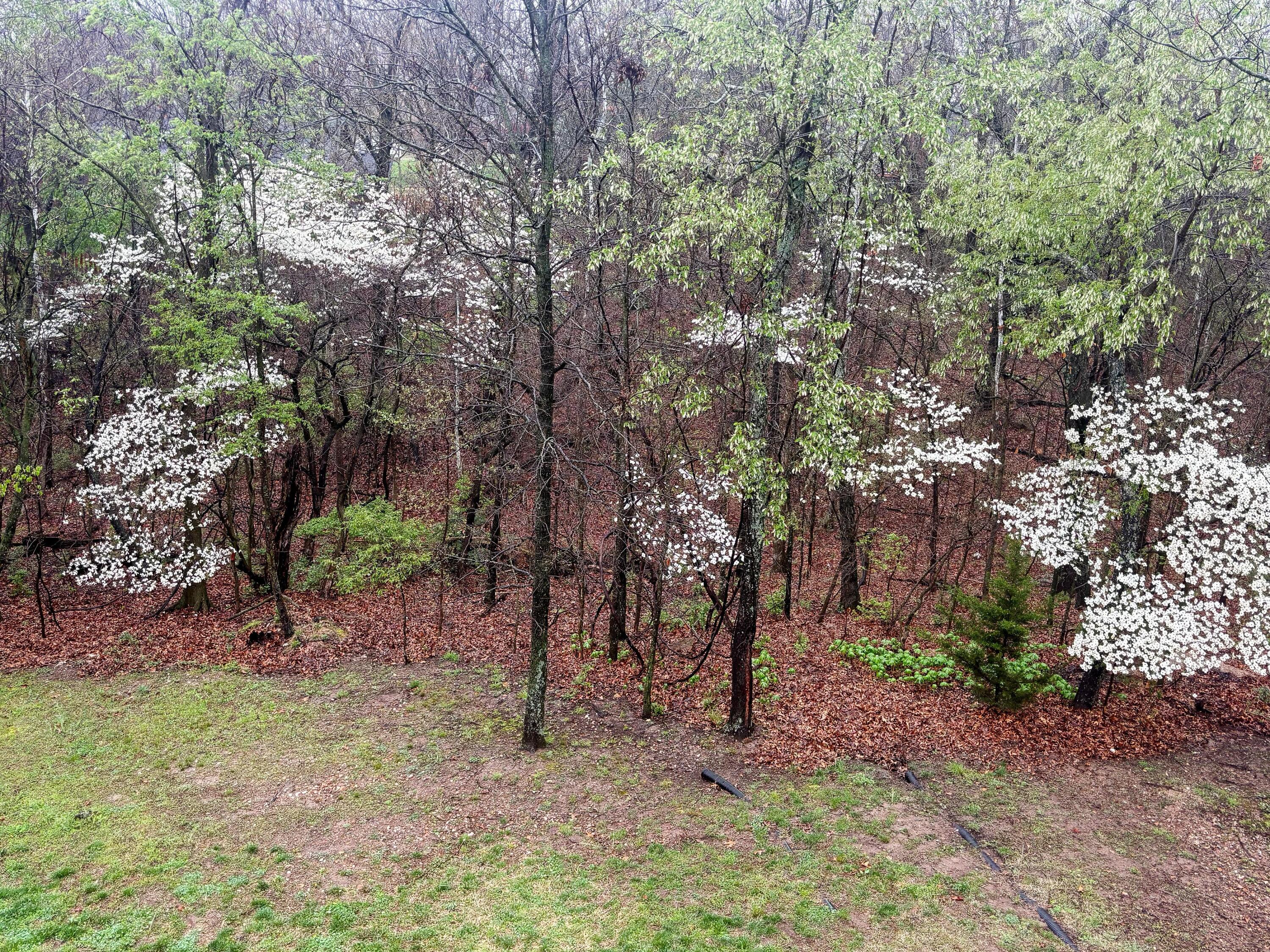 3 Ridgewood Court Property Photo 74