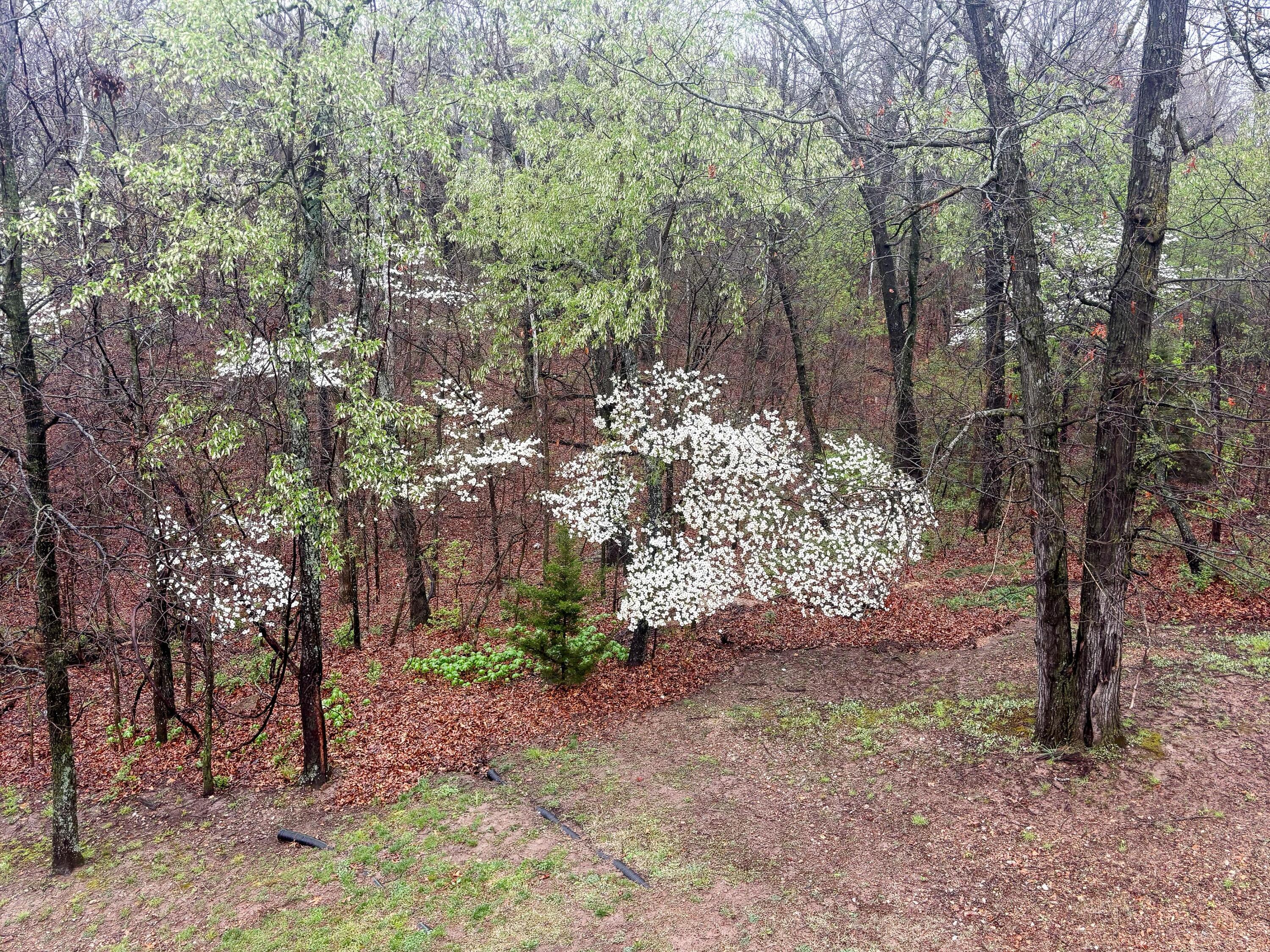 3 Ridgewood Court Property Photo 75