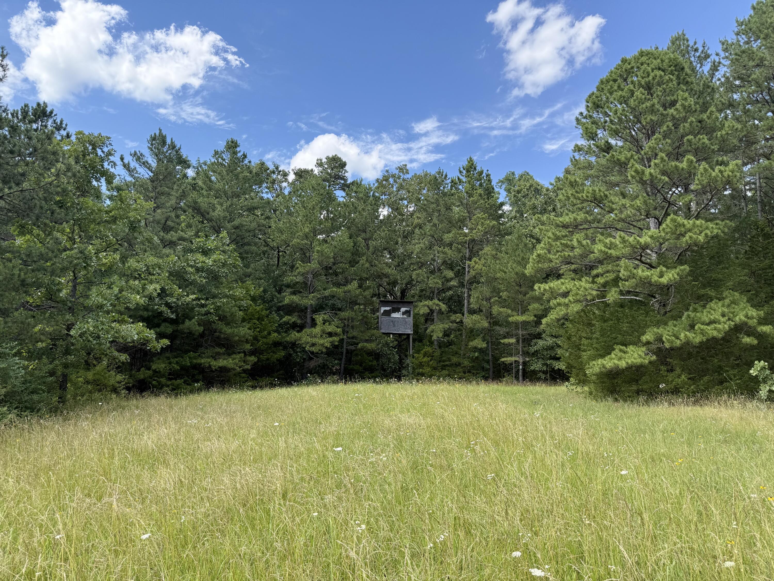 9452 Lynch Drive Property Photo 62