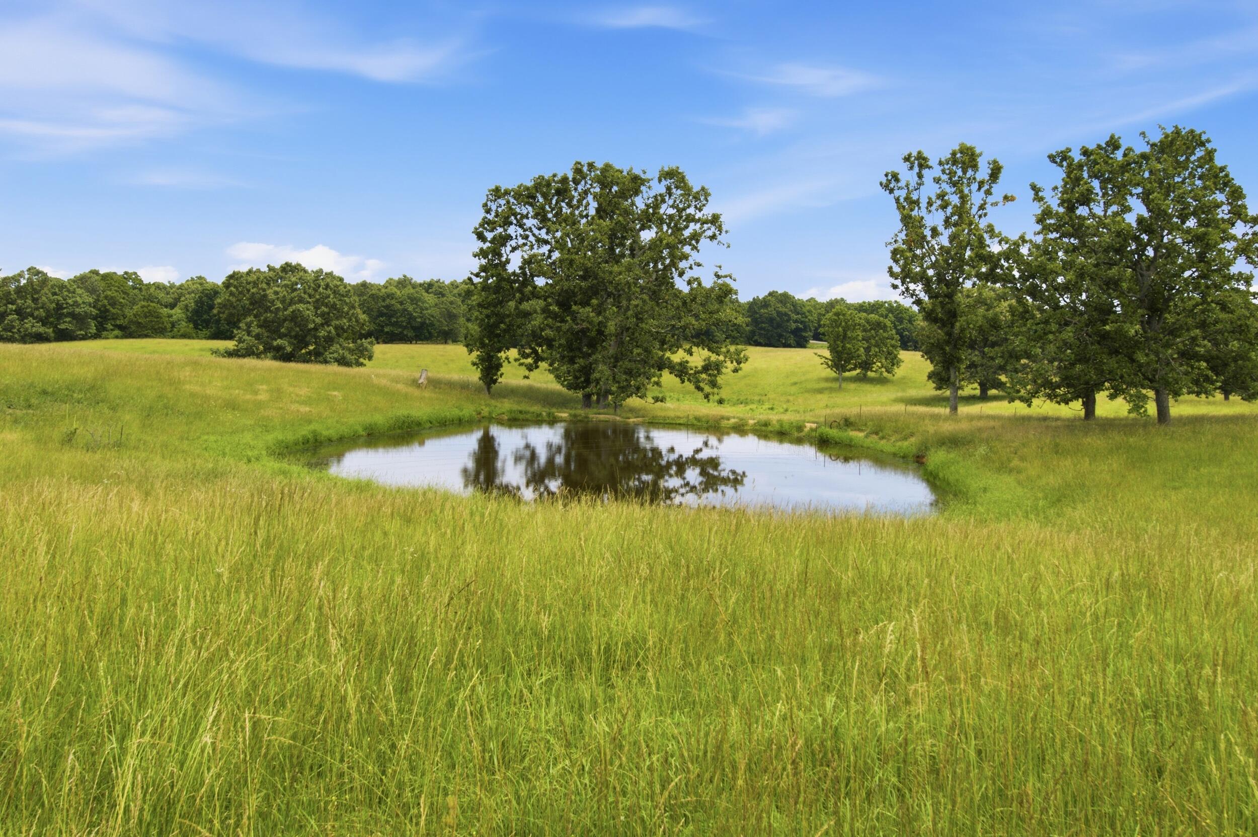 10776 State Route Pp Property Photo 8