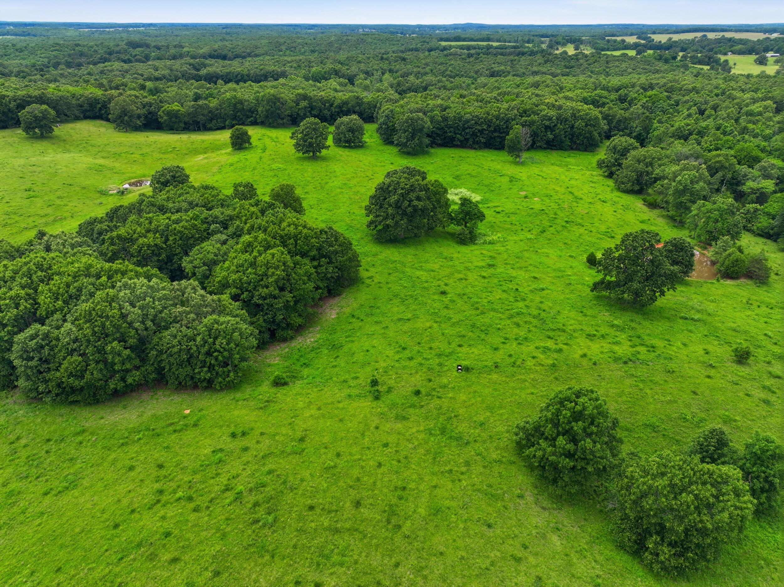 10776 State Route Pp Property Photo 40