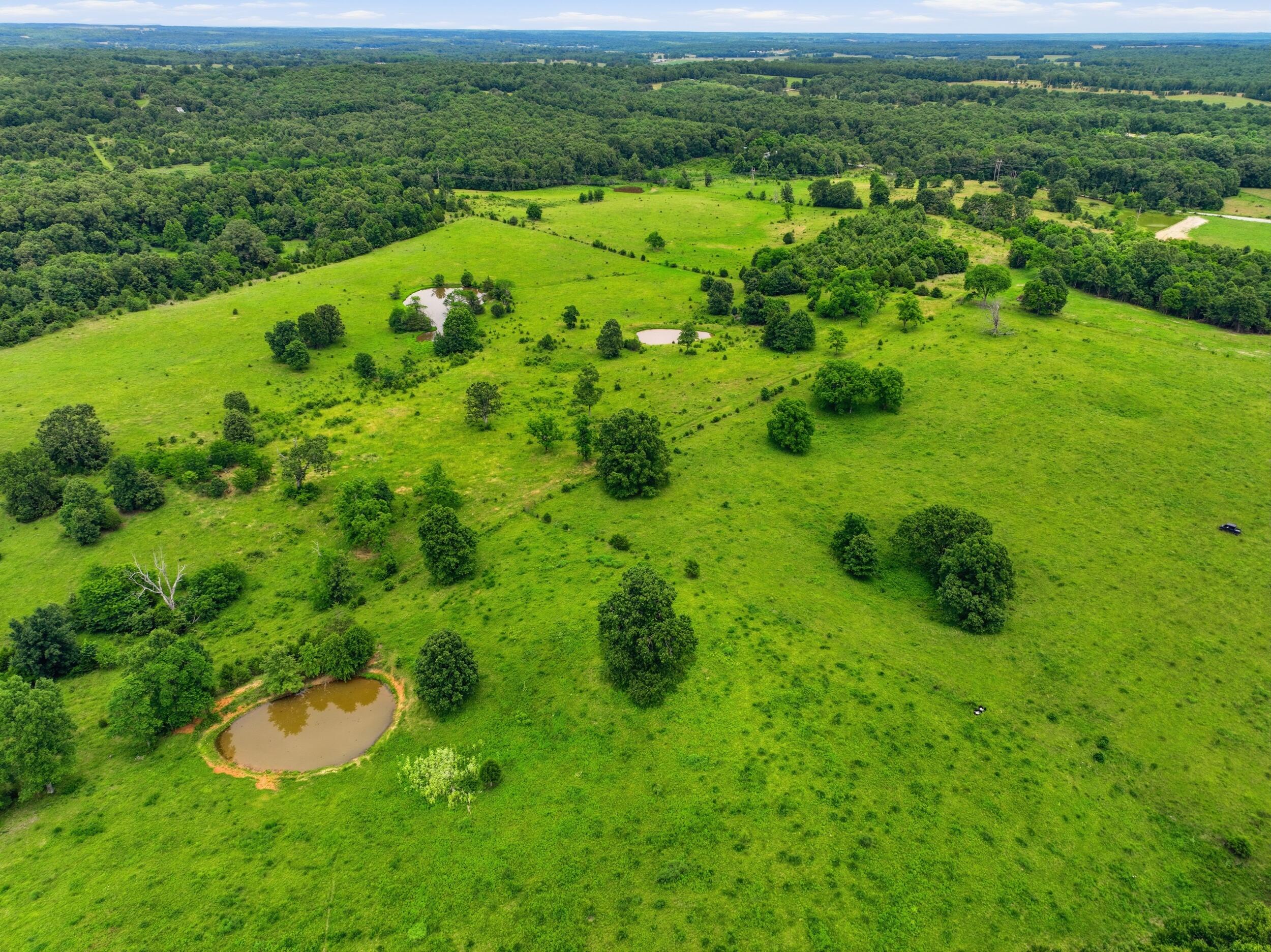 10776 State Route Pp Property Photo 44