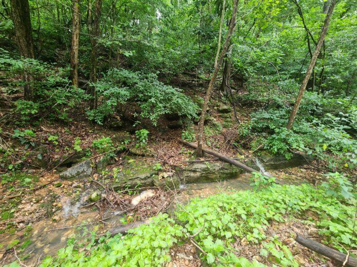 513 Stone Road Property Photo 2
