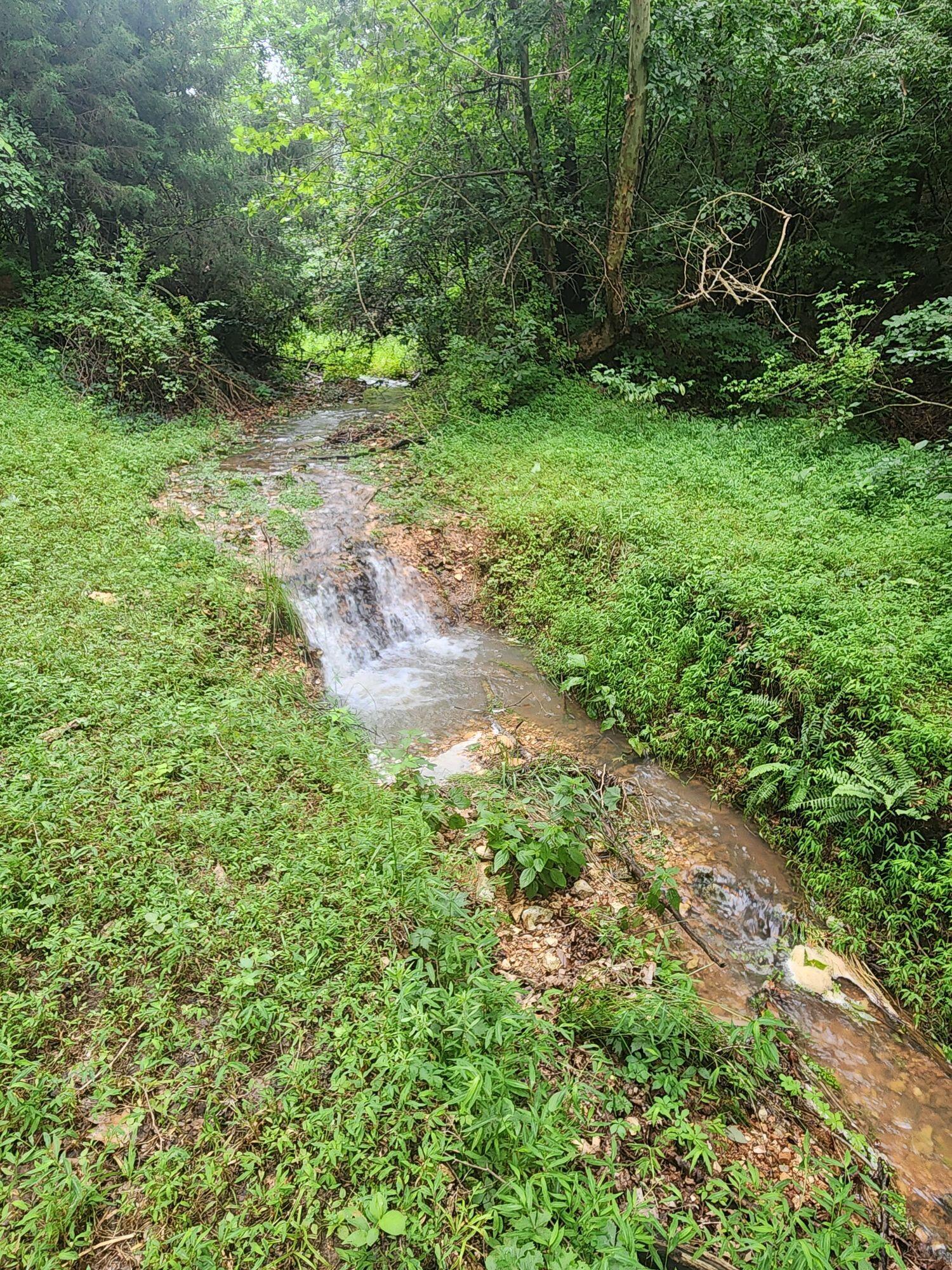 513 Stone Road Property Photo 3