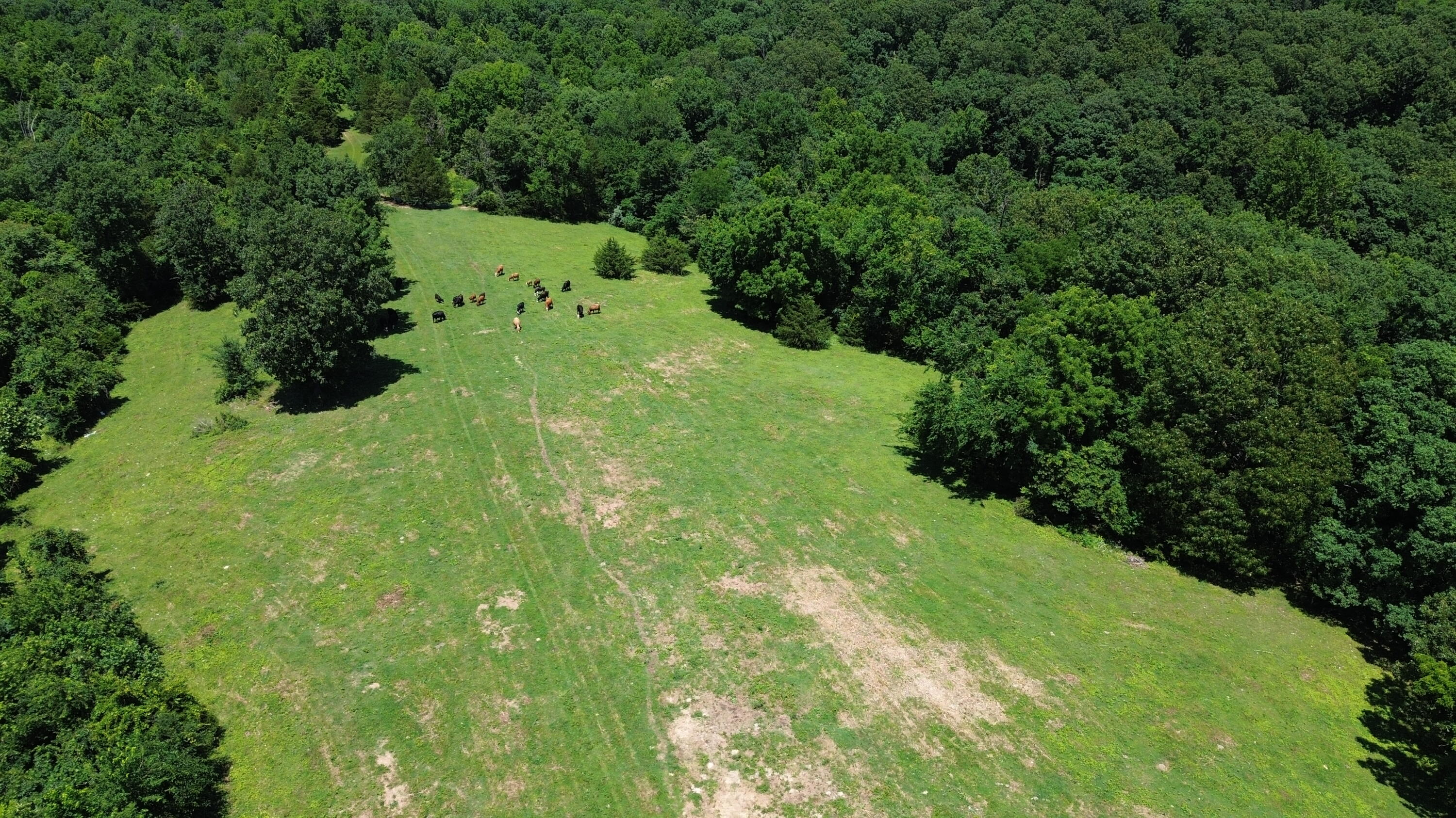 513 Stone Road Property Photo 9