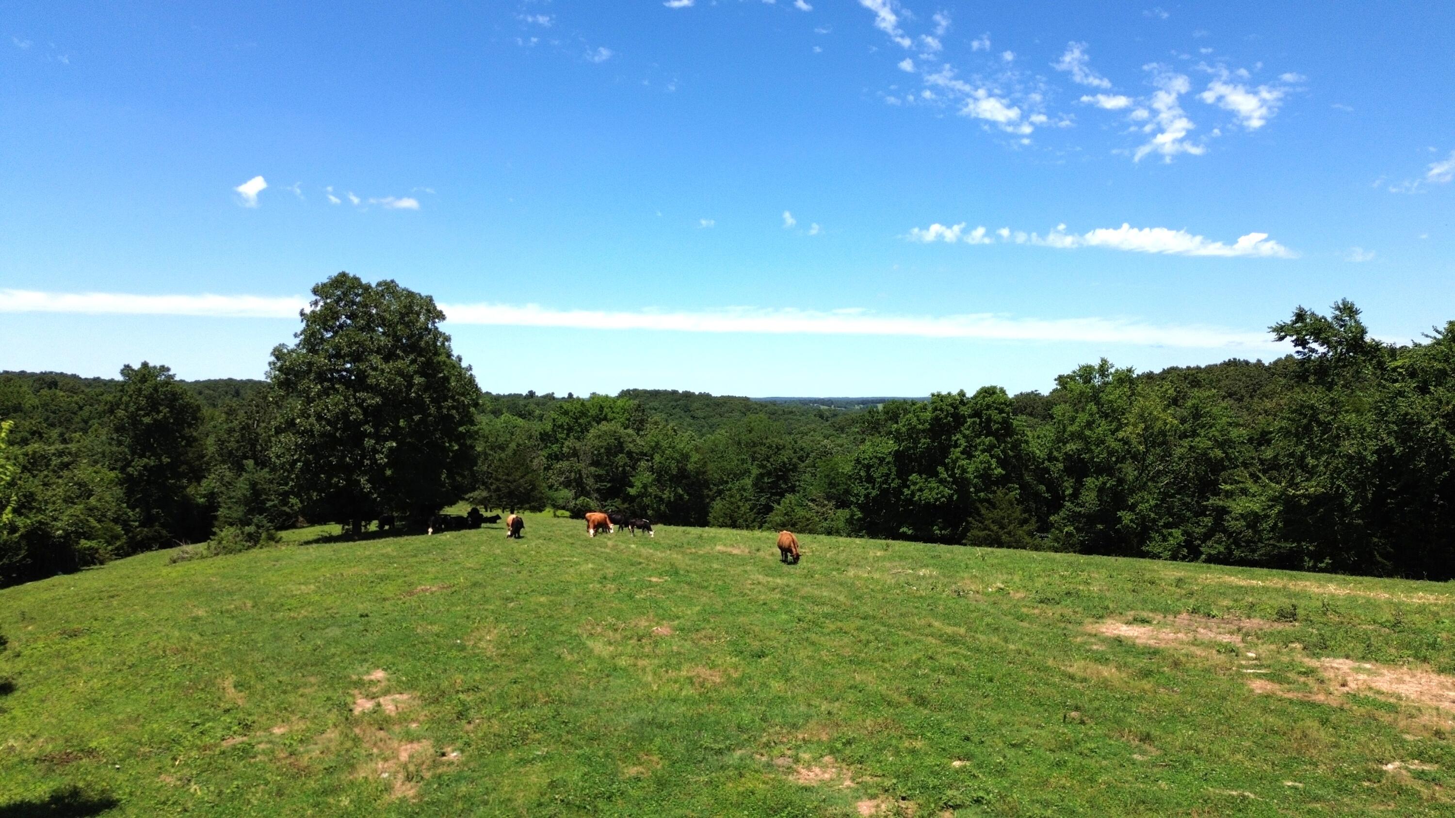 513 Stone Road Property Photo 13