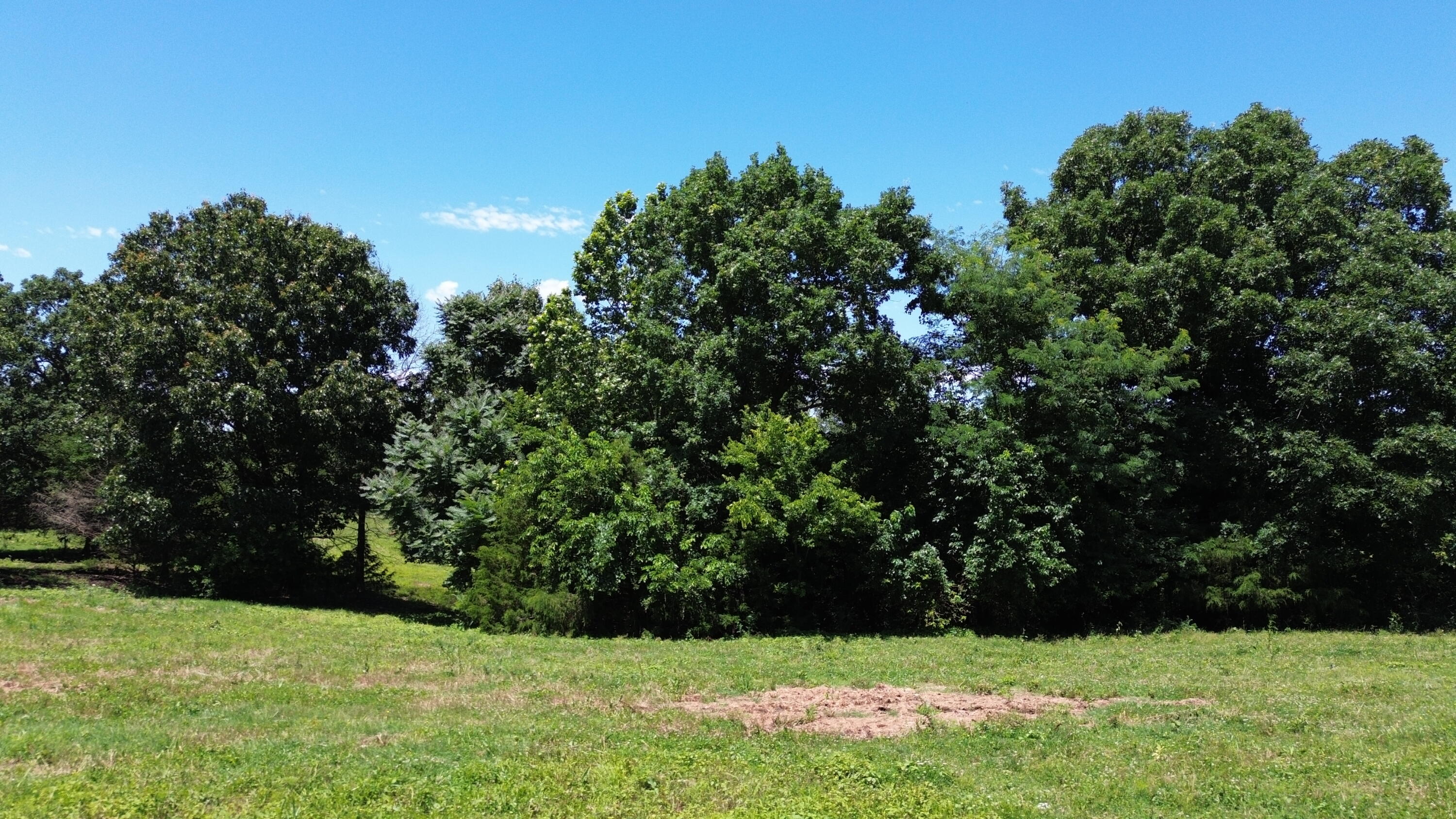 513 Stone Road Property Photo 14