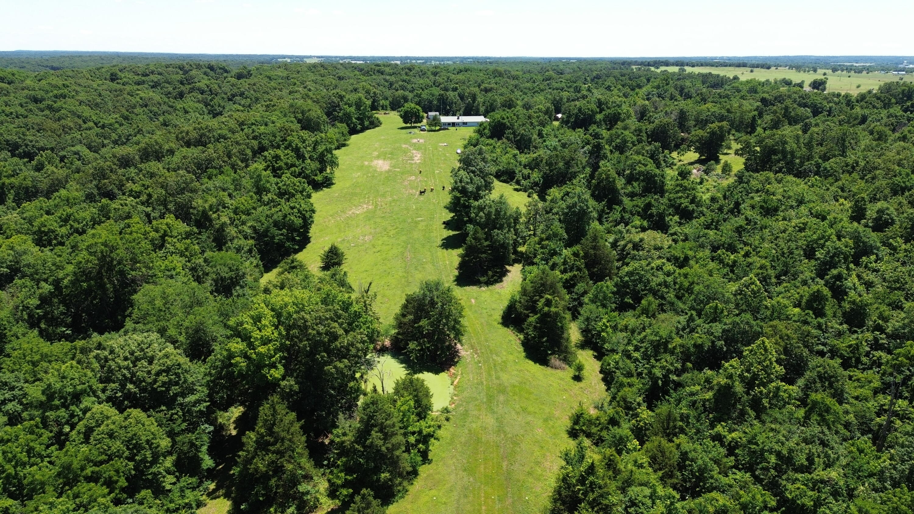 513 Stone Road Property Photo 15